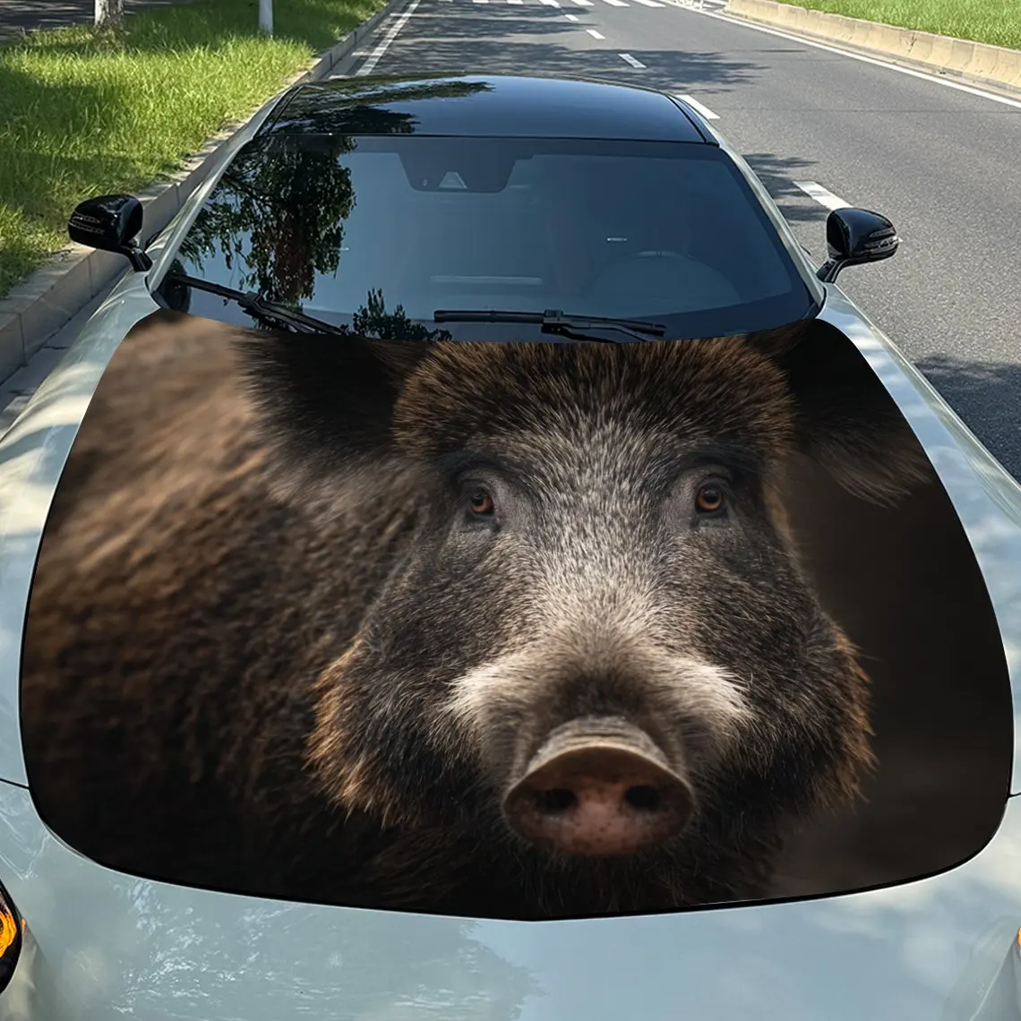 

Portrait Of A Wild Boar Hood Decal - Scratch , Weather PVC, Easy To Stick, Adding Bold Design To Your Appearance, Decals And Sti