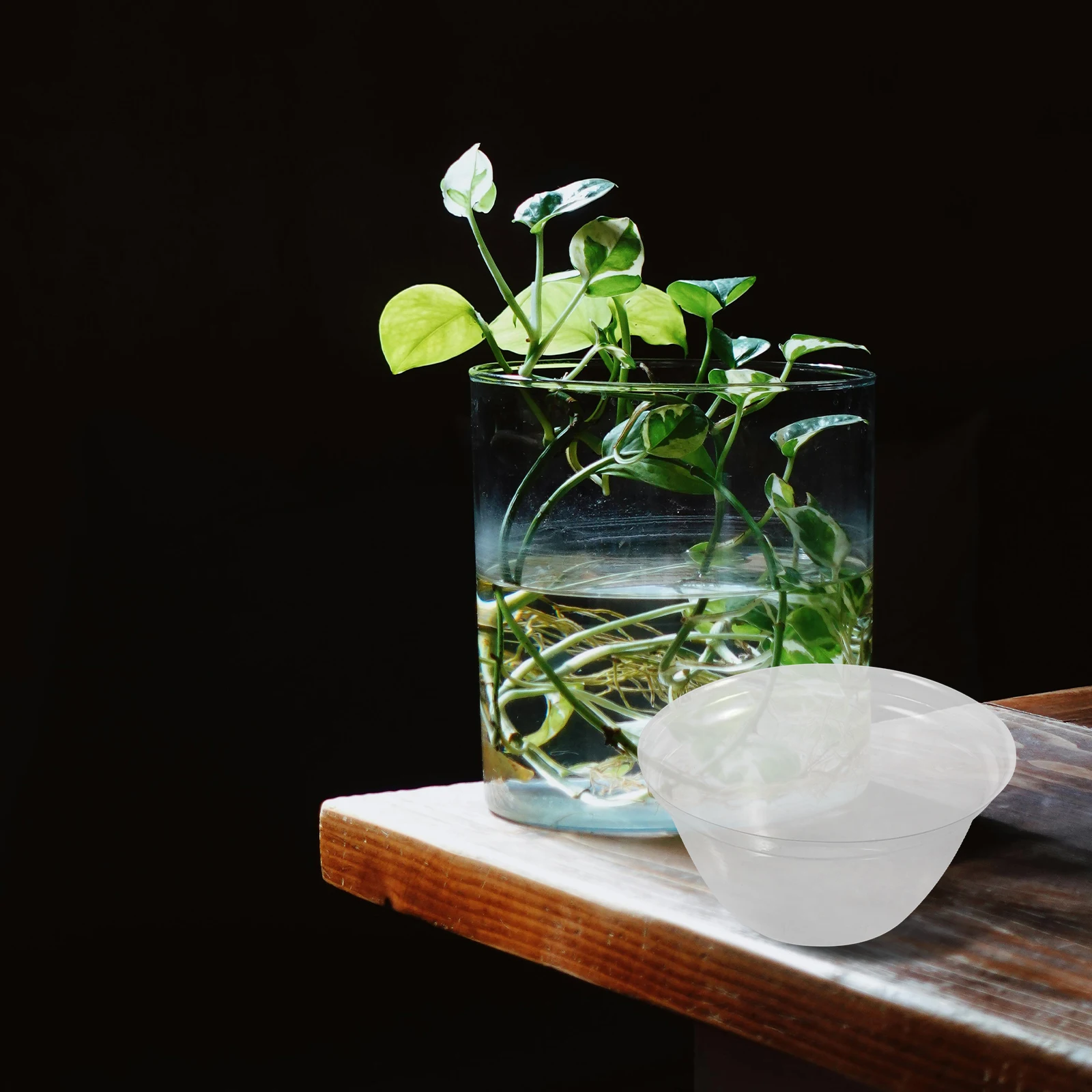 

100pcs Plant Growth Dome Blue Insulation Cover Plant Pot Protective Garden Accessories Cloche Domes Sprout Shelter