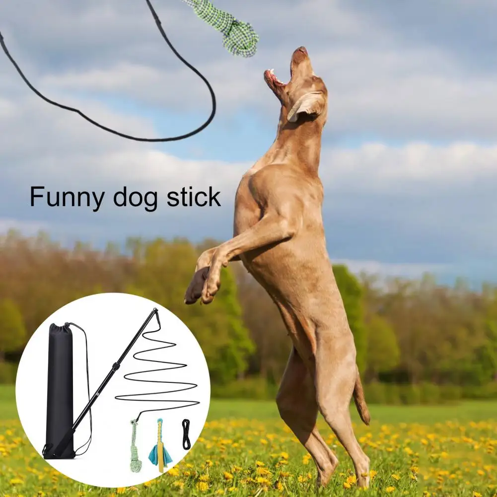 Dog Flirt Pole Portable Extendable Teaser Wand Pet Flirt Stick Pole Set Multipurpose Lightweight Dog Wand Pet Accessories