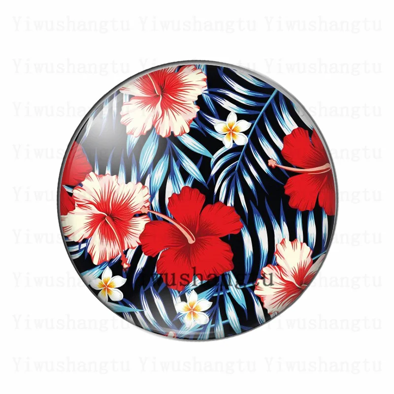 Beauty amaryllis flower colourful blooming  12mm/20mm/25mm/30mm photo glass cabochon demo flat back Making findings