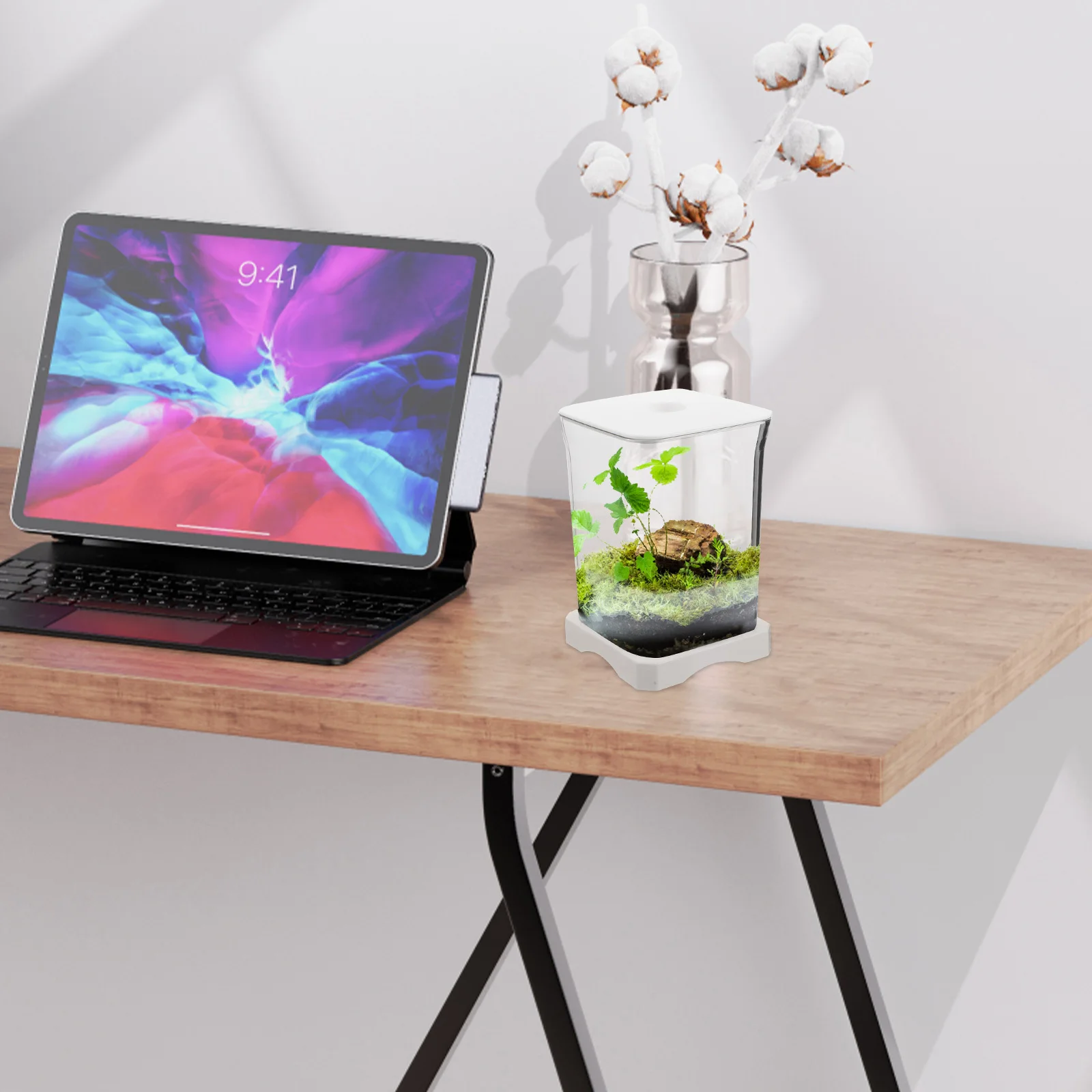 

Desktop Aquarium Betta Tank Clear Plastic Mini Portable Fish Bowl Easy Clean Top Feeding Hole Decorative Home Office