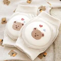 heart bear