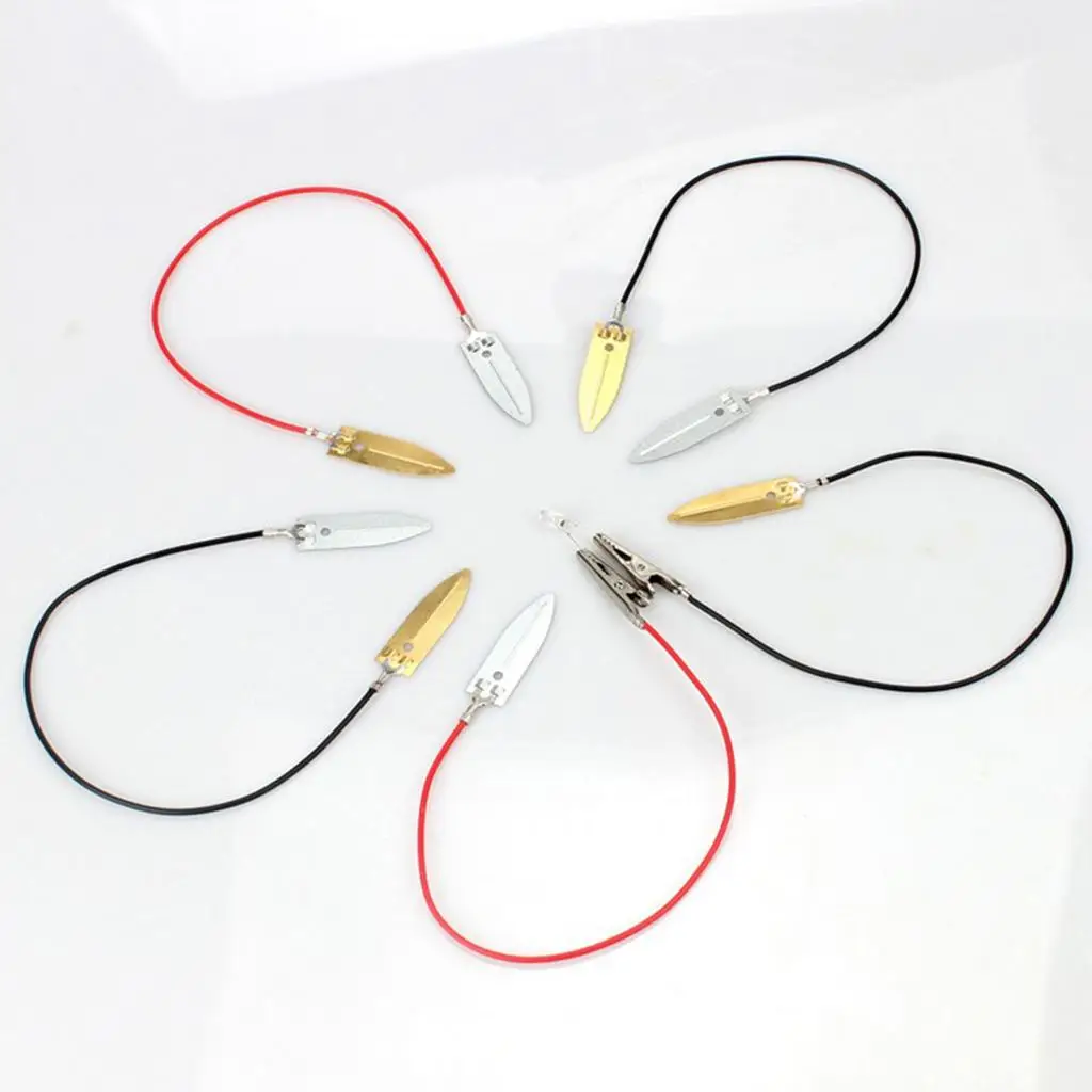 DIY Battery Generator Copper Zinc Experiment Equipment Physics Science Toy for Learning Electricity Generation at Home