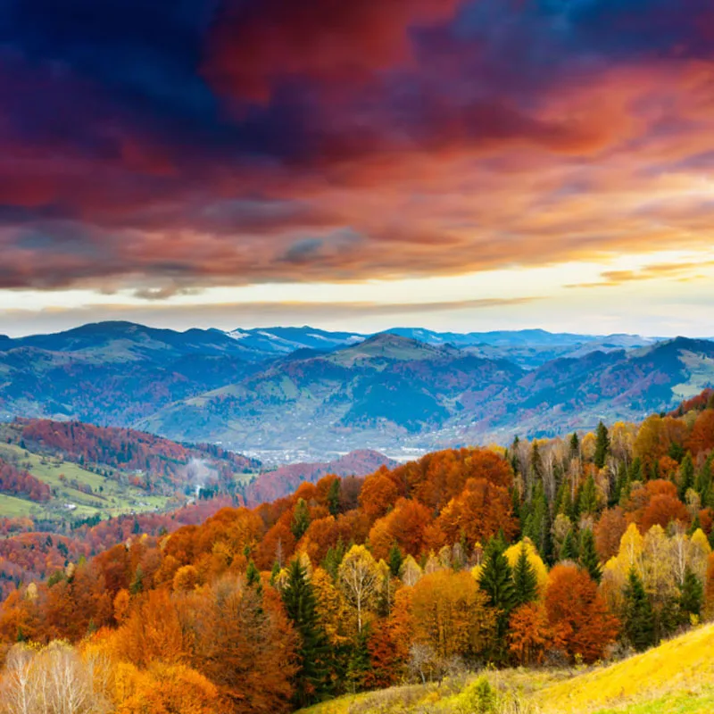 

FrSky X6R 2.4G 16CH SBUS RC Receiver PCB Antenna Smart Port Data Return for Open TX Taranis X9D Jumper T16 T18 RC Drone