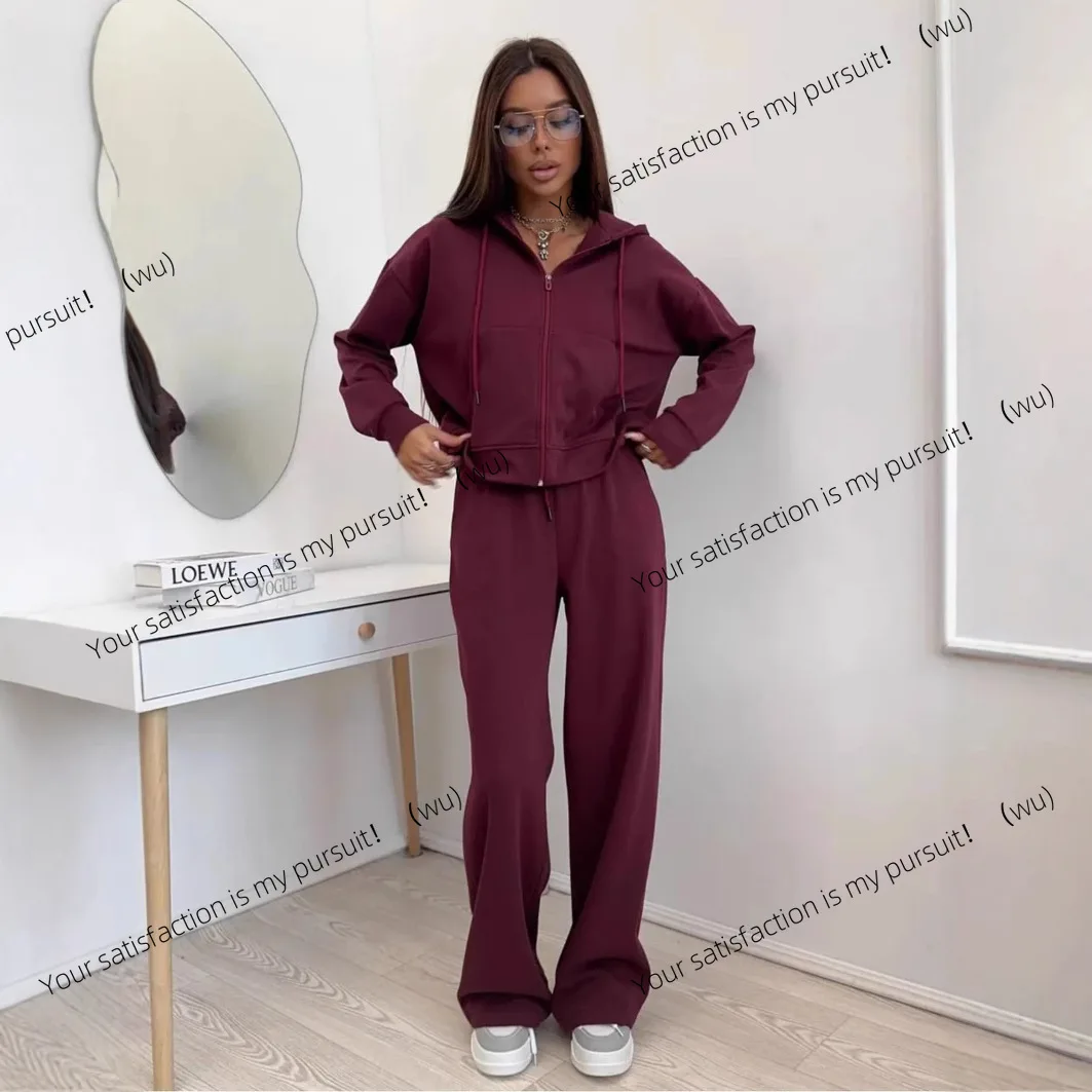ZOCI-Costume sportivo tinta unita Cardigan con cerniera a maniche lunghe Pantaloni maglione con cappuccio Set in cotone a due pezzi