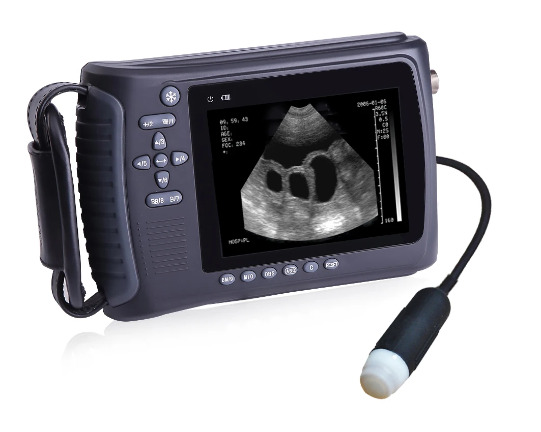 

Animal Pregnancy Detection Ultrasound Scanner and Veterinary Ultrasound Instrument