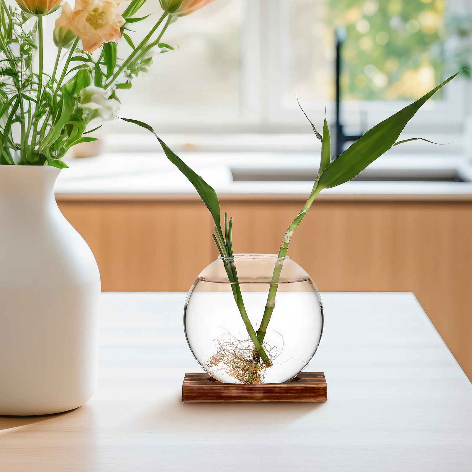 

2 Pcs Vase Glass Flower Pots Terrarium Desktop Planter Holder Creative Hydroponic Arrangement