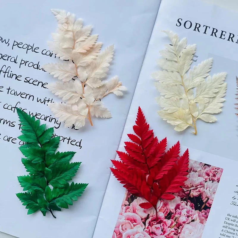 פרחים מיובשים יבש צמחים עבור אפוקסי שרף ליהוק עובש DIY ארומתרפיה נר תבניות מלאכות כלים תכשיטי ביצוע אביזרי 10pc