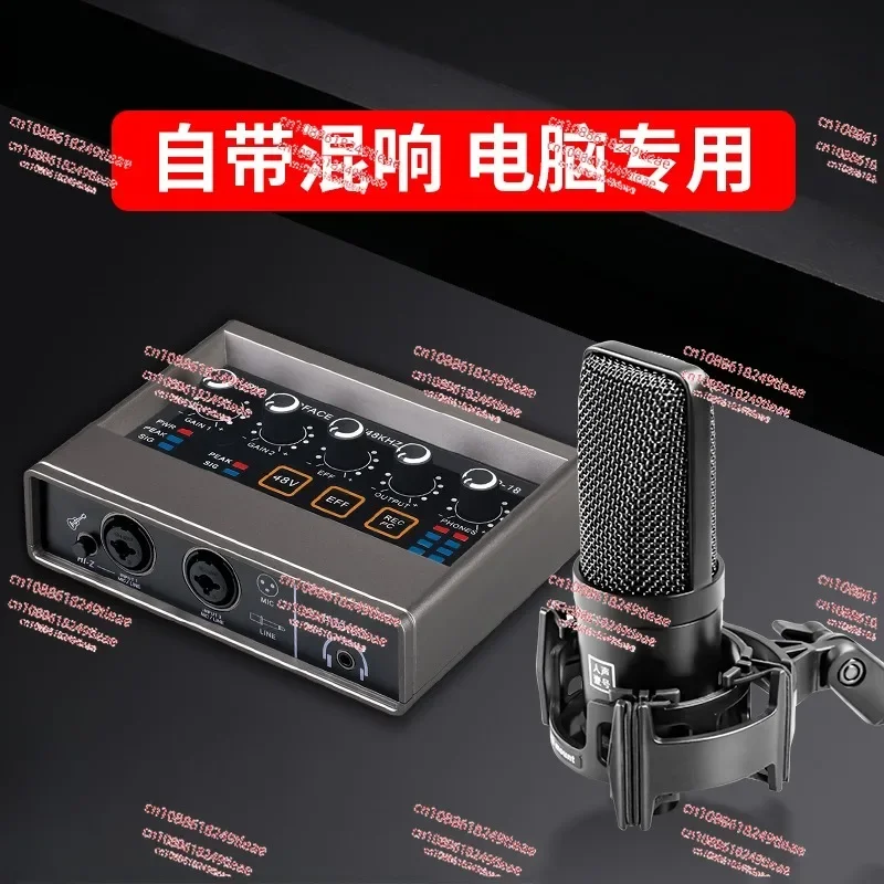 Live rap sound card earphones professional vocal k song special reverb sound effect