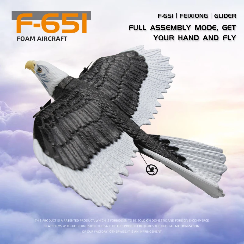 FX651 RC Plane Eagle Airplane Wingspan Glider 2.4G Radio Remote Control Aircraft EPP Foam Toys for Children Boys