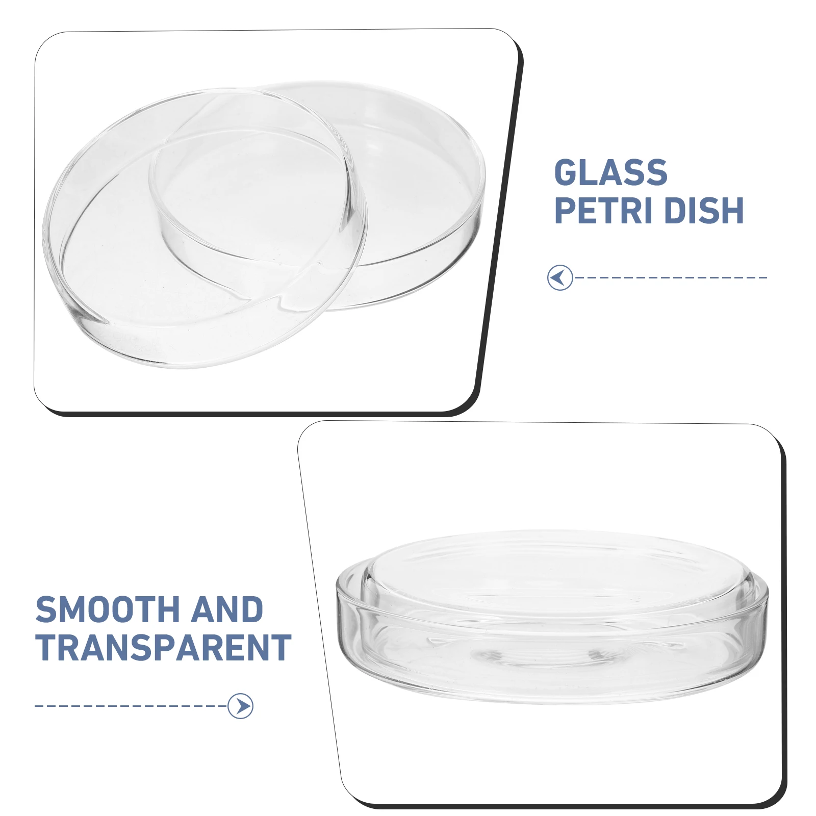

5Pcs Clear Round Culture Dishes Glass Chemistry Lab Petri Plates with Lid Durable for Laboratory Teaching Sample Protection