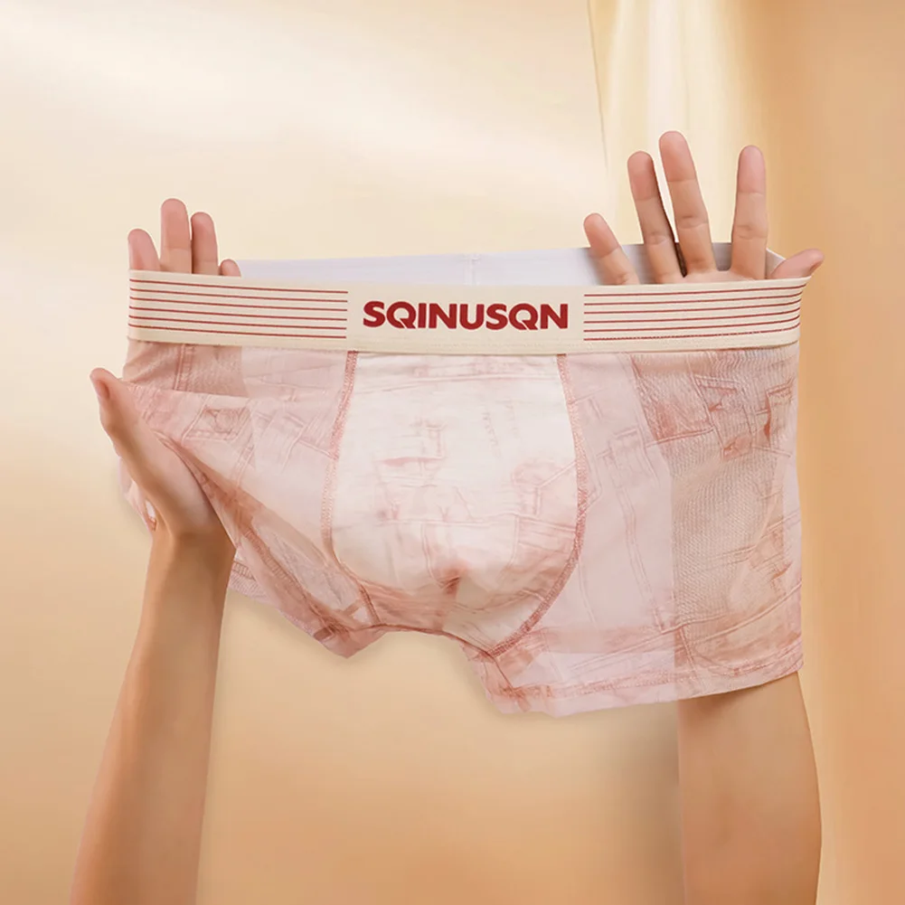 

Sexy Panties Men Retro Print Mesh Lingerie See Through Boxer Shorts Thin Breathable Underwear Man Seamless Underpants Knickers