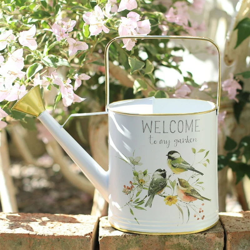 Large Capacity Iron Long Spout Watering Can Rose Head Shower for Succulents Plants Indoor Garden Home Decor Tool Vintage