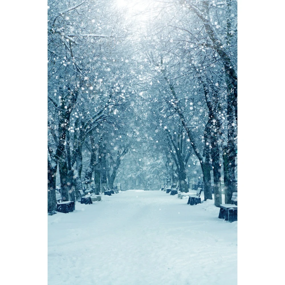 خلفية تصوير شتوية ، أشجار الثلج ، أرضية خشبية ، حقل ثلج ، طفل ، صورة أطفال ، خلفية صور عائلية ، ملصق ديكور ، استوديو صور