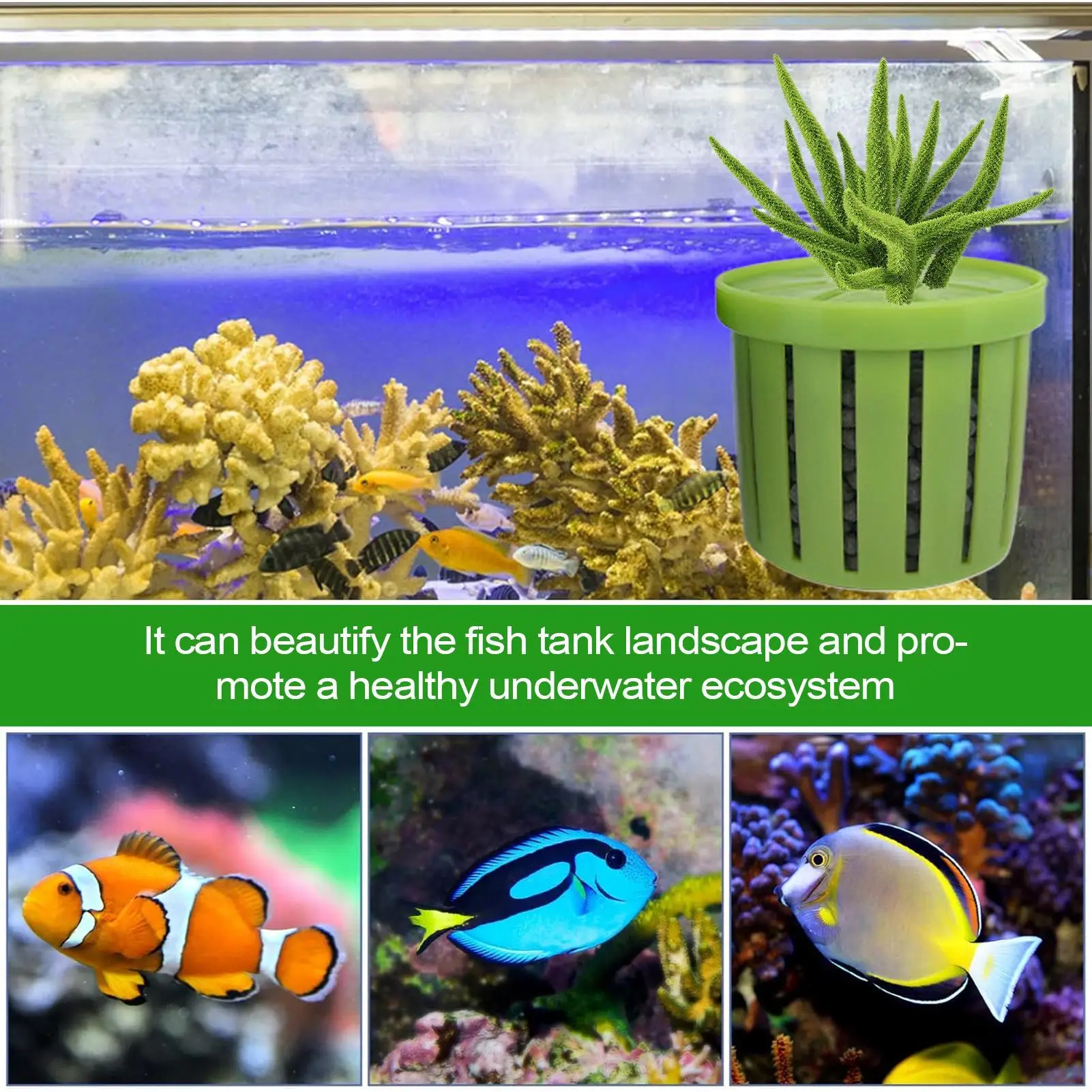 Thumbnail 4 - #84 Ranked Decorative Aquarium Plants Picks in 2026