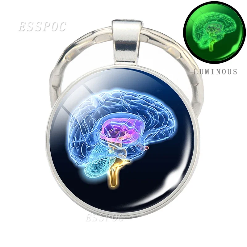 Luminous Skull Brain Keychain Body Anatomy Keychains Glowing ECG Heart Brain Glass Cabochon Jewelry Key Chain Holder Doctor Gift