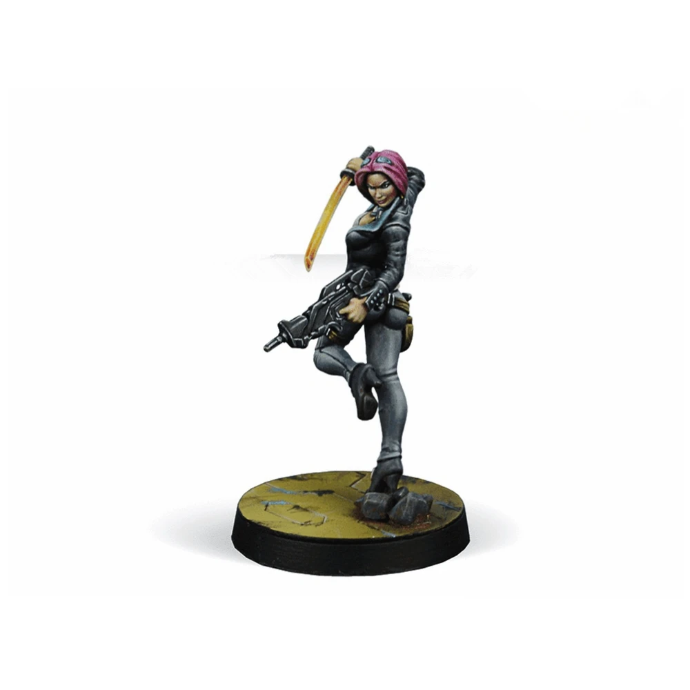 Kit de modèle en résine, jeu de guerre Miranda Ashcroft