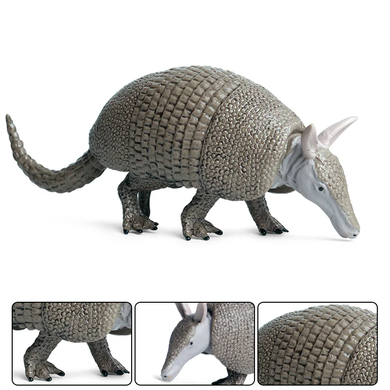 Oenux Prähistorische Wilde Tiere Simulation Gürteltier Doedicurus Sabretooth Modell Action-figuren PVC Sammlung Spielzeug Für Kind Geschenk – Detail 3