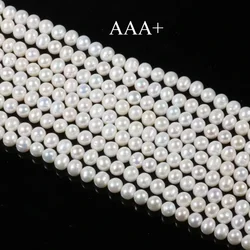 AAA Natural Freshwater Pearl Beads High Quality 36cm Punch Loose Beads for Jewelry Making DIY Women Elegant Necklace Bracelet