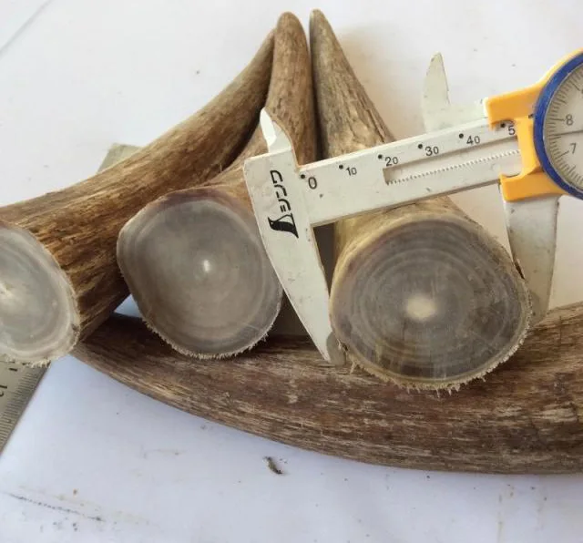 Large Solid White Flower Yak Skull Tip Knife Handle, Raw Material, Diameter4cm or more Length 18cm