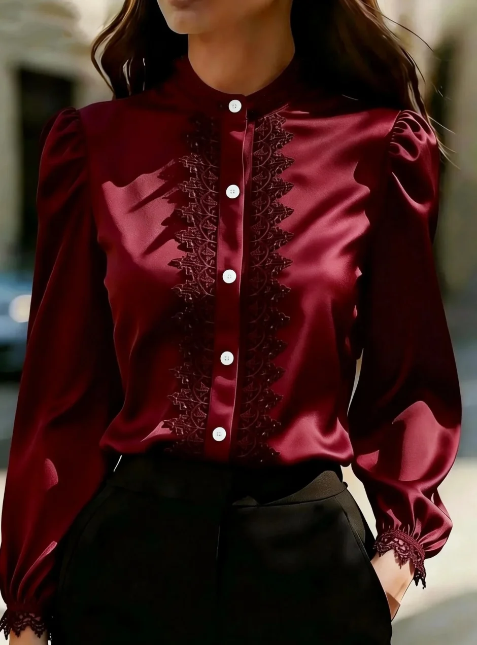 Lace Trim Stand Collar Long Sleeve Blouse Puff Sleeve Button Down Shirt