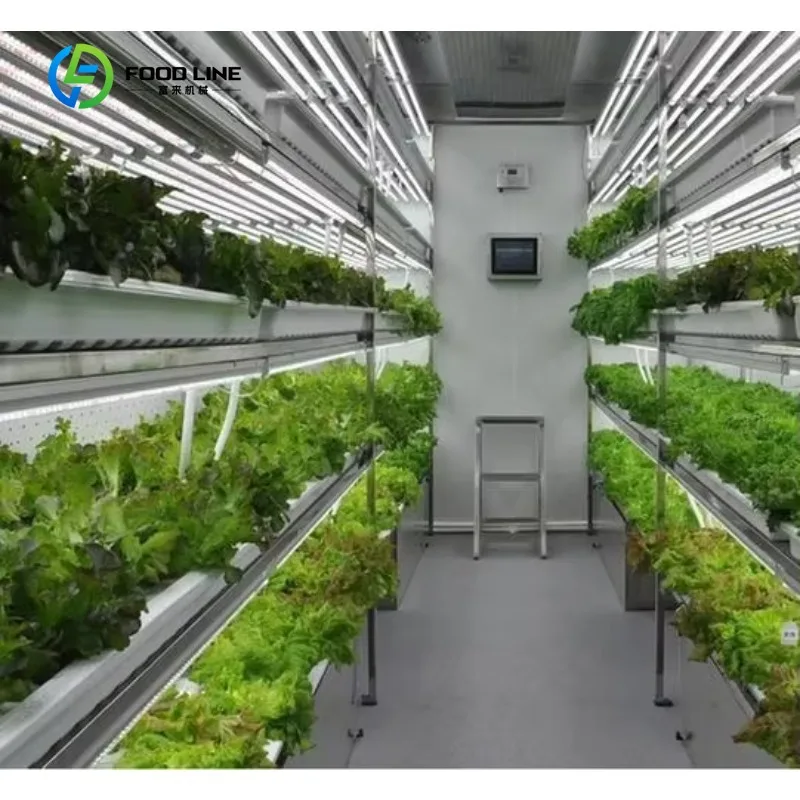 Customized Smart Farm Vertical NFT Hydroponic System Steel Container Greenhouse for Microgreens Leafy Agricultural Greenhouses