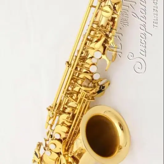 

Brand Suzuki A901 Electrophoresis Gold Alto Saxophone Eb Sax Double Tendons Top Musical Instruments For Beginners Test