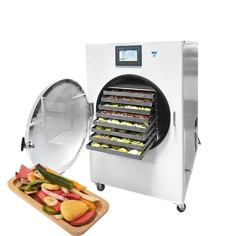 

Commercial 6Kg 8Kg 10Kg 12Kg Home Mini Freeze Dryer No Oil Pump Drying Machine Lyophilizer Price For Candy Food Fruit Vegetable