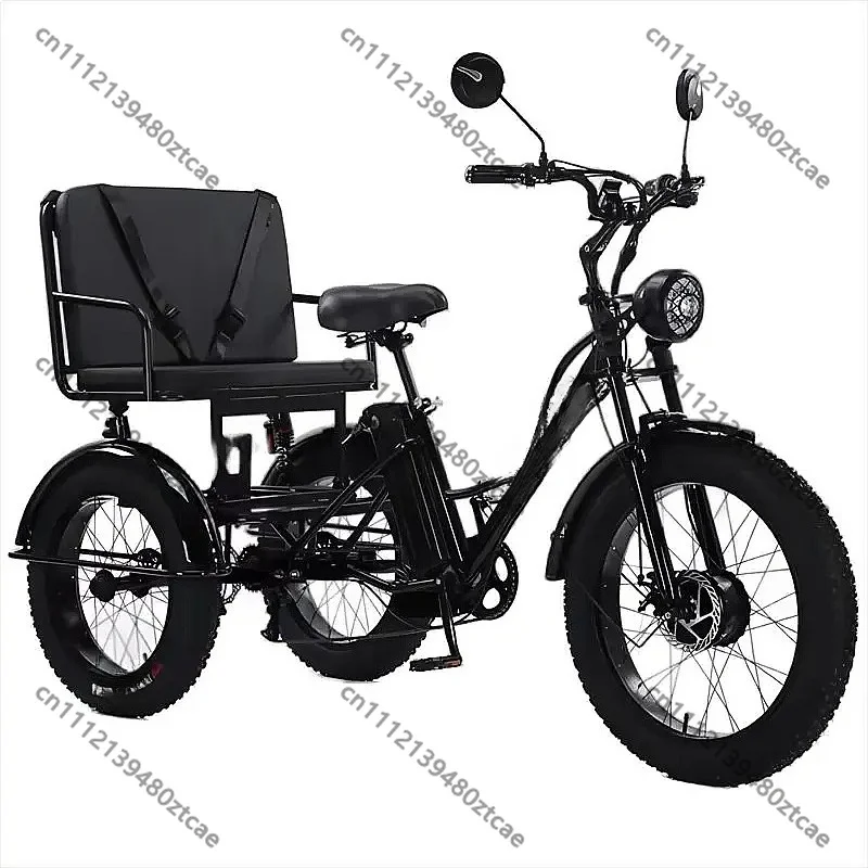 750W 48V Electric Tricycle, 2-Seater Adult Trike, Fat Tire with Removable Battery, Passenger Seat