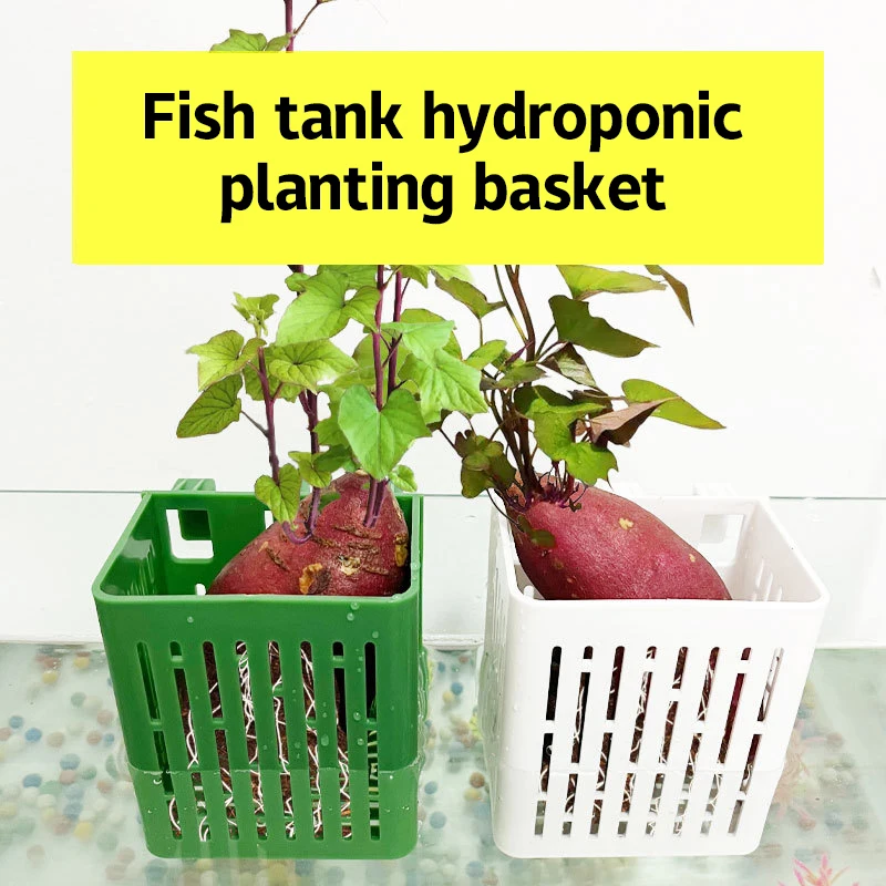 Hanging Aquaponic Fixed Planting Basket Plastic Aquarium Aquatic Plant Fixing Box Suction Cup/Hook Fish Tank Decoration