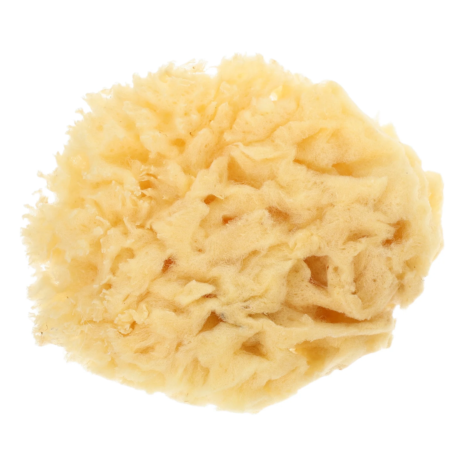 Natural Sea Sponge 2.0-2.5 Inch Soft Durable High Water Absorption For Watercolor Acrylic Painting Diy Texture Art Kids