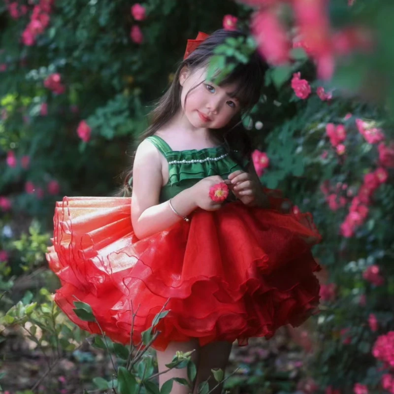 Handmade Girls Princess Flower Girls Dress Lolita boutique Red Carnation Dress Girls Thanksgiving Days Christmas Dress