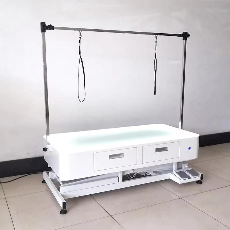 Lz High Quality Pet…