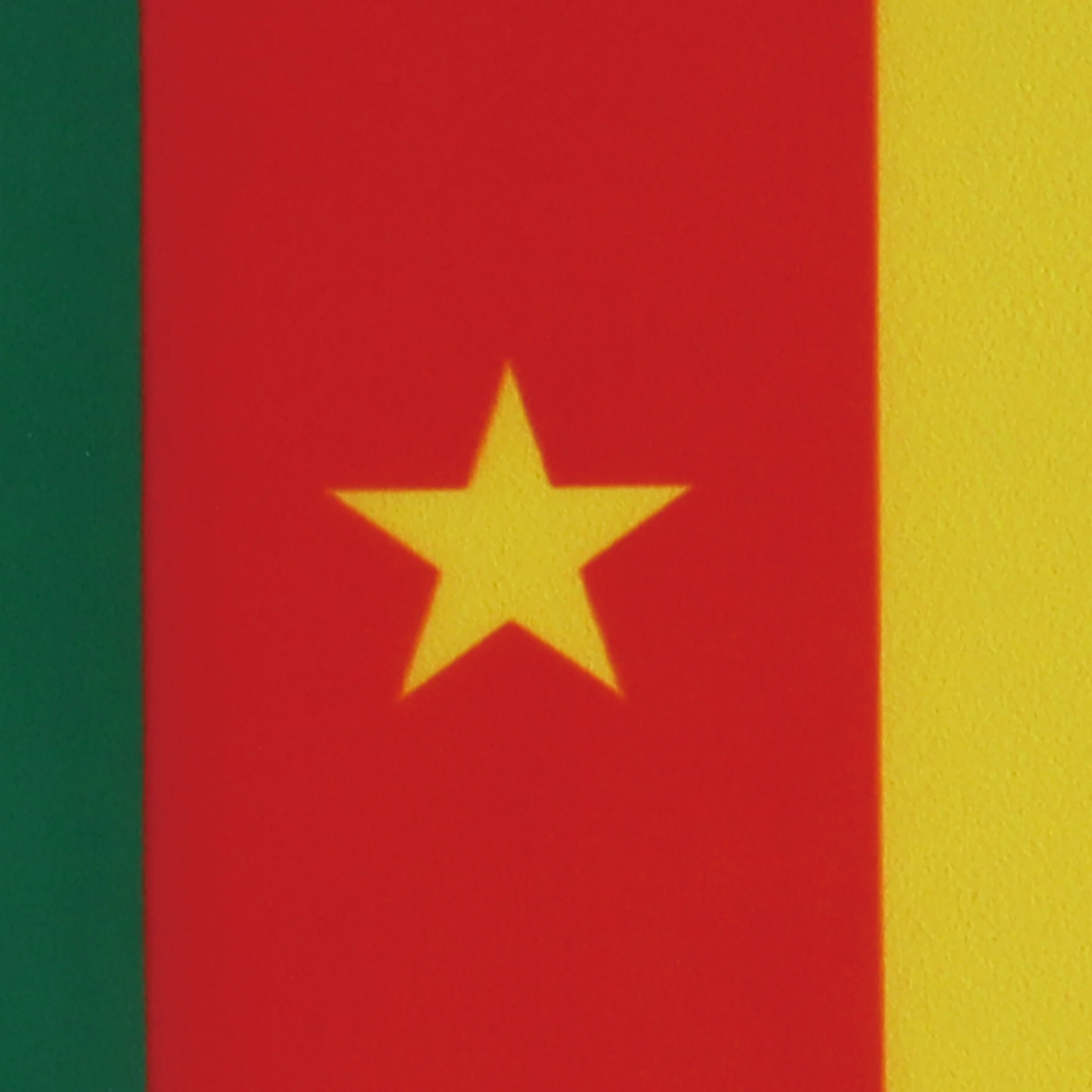 Cameroon 14x21CM Hand Flags National Flags For Indoor and Outdoor Decorations(10pcs/1set)