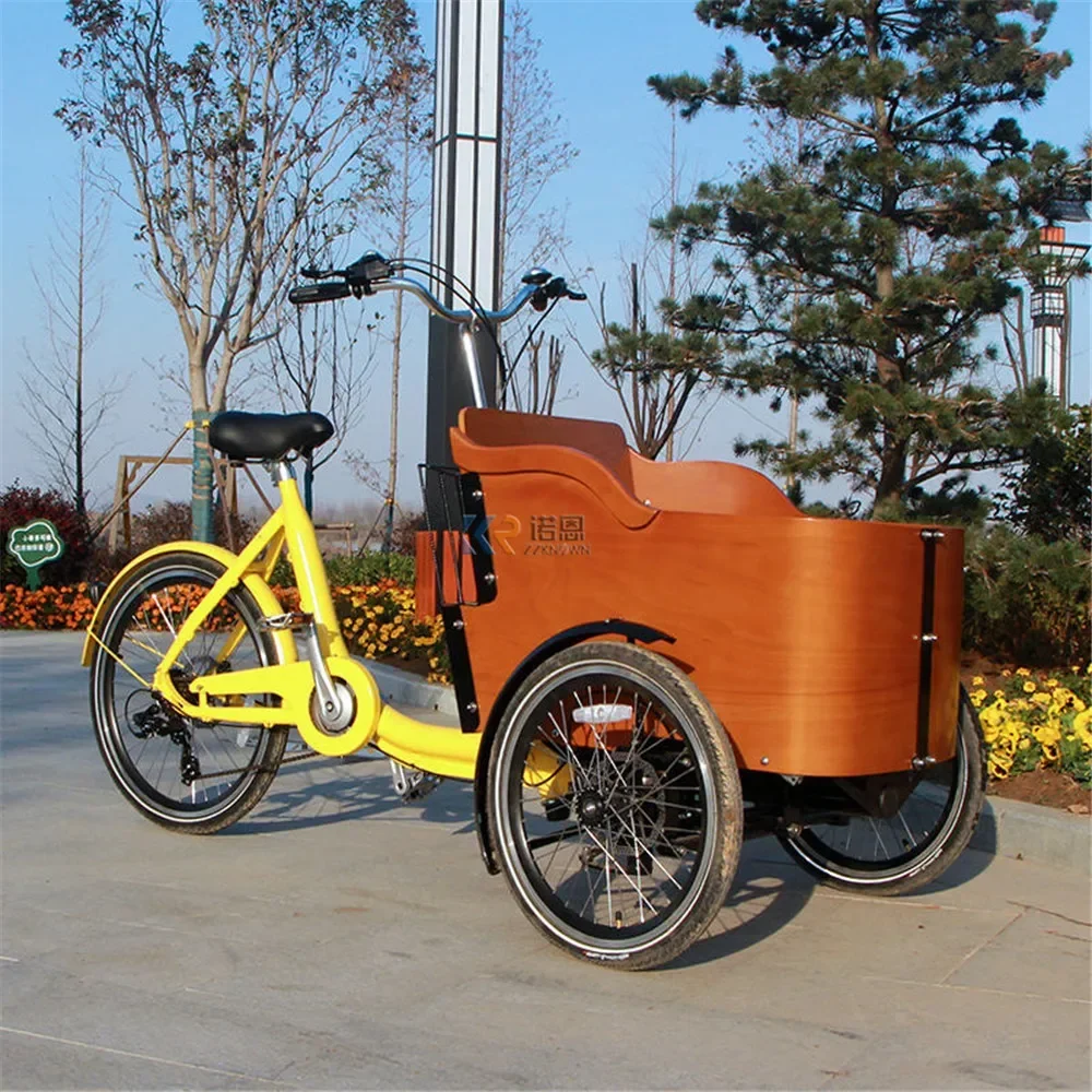 Family Dutch Trike Electric Tricycle Cargo Bike For Shopping Carry Kids Pets Lithium Battery Pedelec Cargo E Trikes