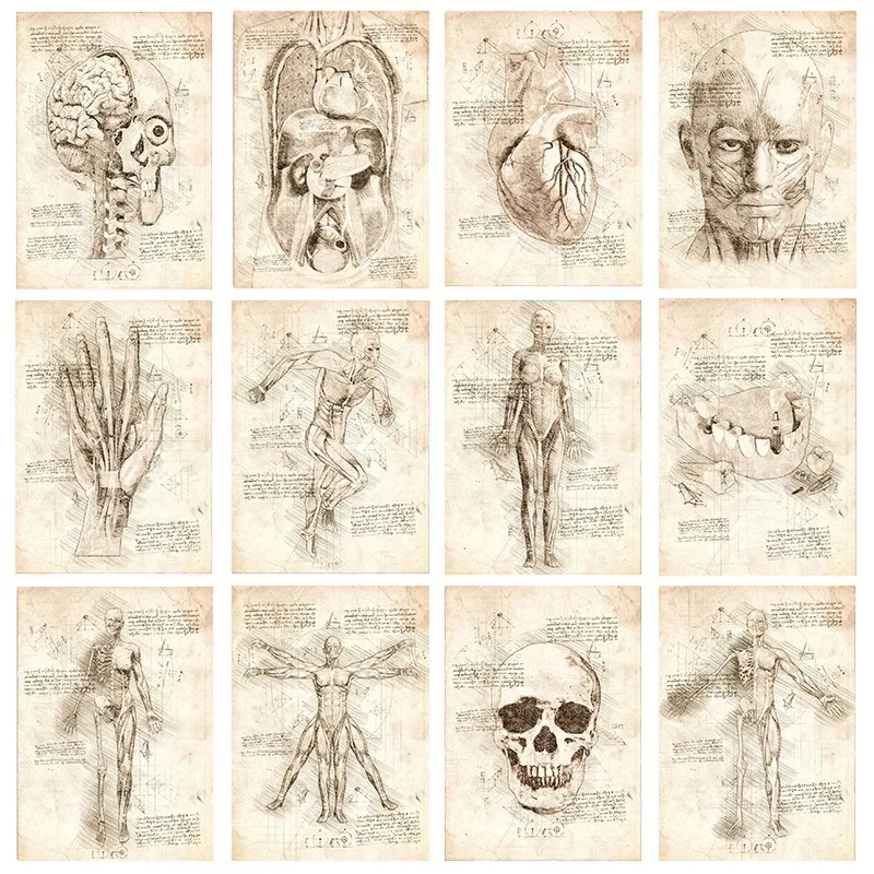 Vintage Human Inside View Anatomy Posters Skeleton Medical Education Prints Canvas Painting Wall Art Pictures Clinic Home Decor