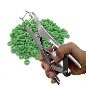 10の最高の販売去勢ツール-6