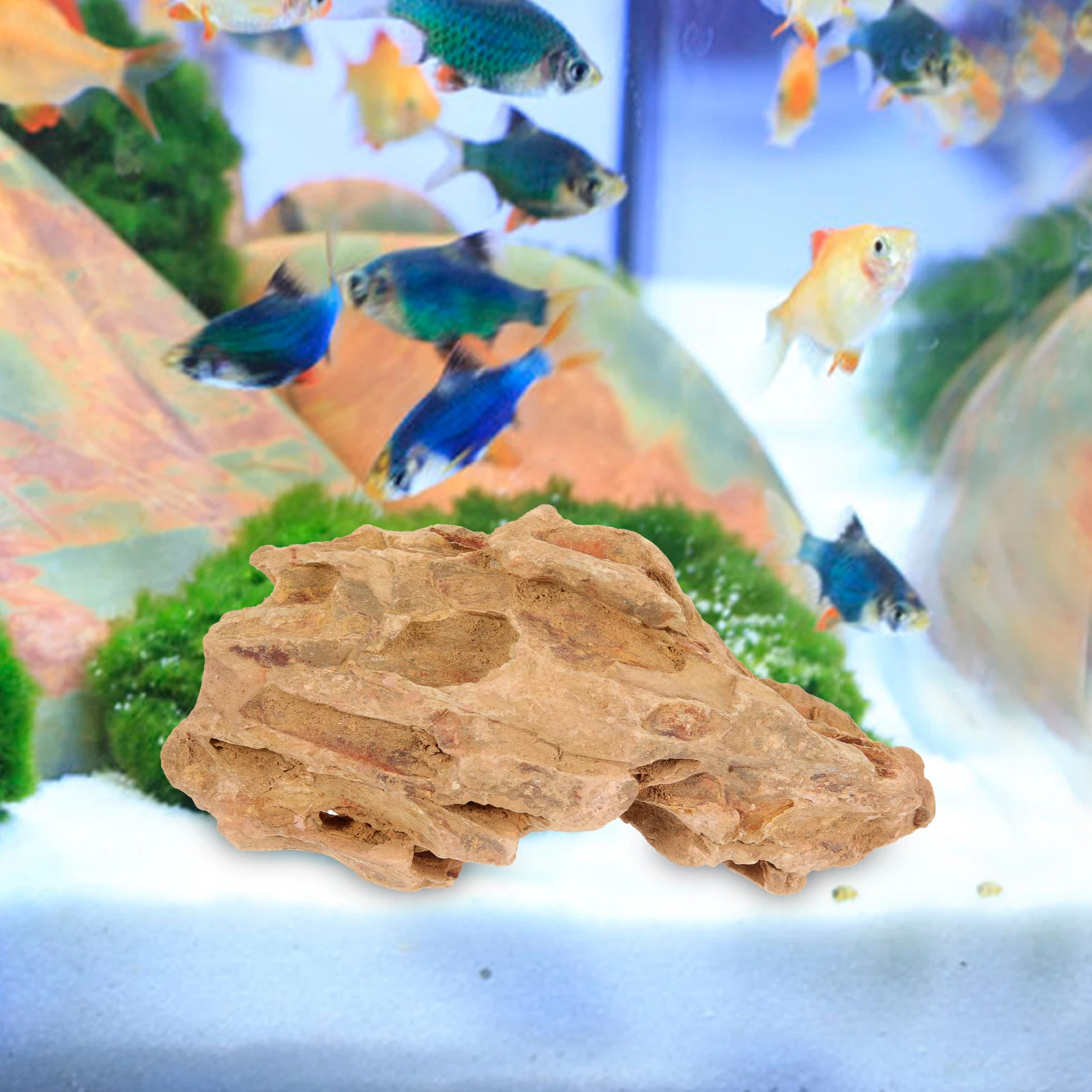 

Natural Pinegrass Rockery for Aquarium Terrarium Durable Fish Tank Landscape Decor Rocks, Desktop Micro Landscape Stone