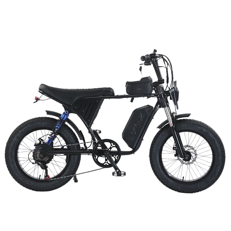 2025 New AKEZ 20 Inch 48V 750 Watt Fat Ebike Remote Electric Mountain Bike Adult Assisted Full Suspension Electric Dirt Bike