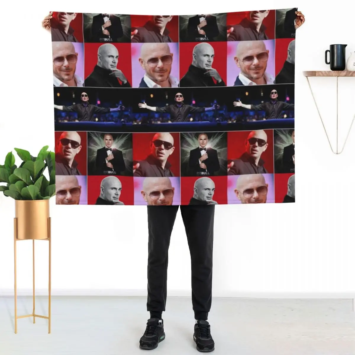 Pitbull American rapper Aesthetics Photos Compilation Collage - 1 Throw Blanket Cute Plaid Decoratives for sofa Plaid Blankets