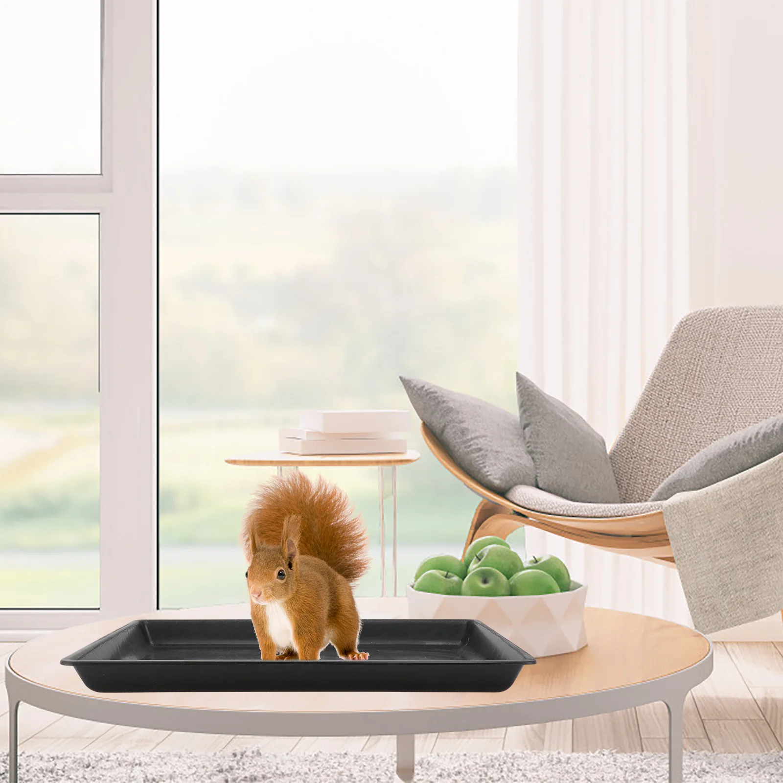 

1Pcs Dog Cat Cage Tray Smooth Plastic Bedpan for Pet Poop Collection Odor Resistant Easy Maintenance Pet Cage Tray