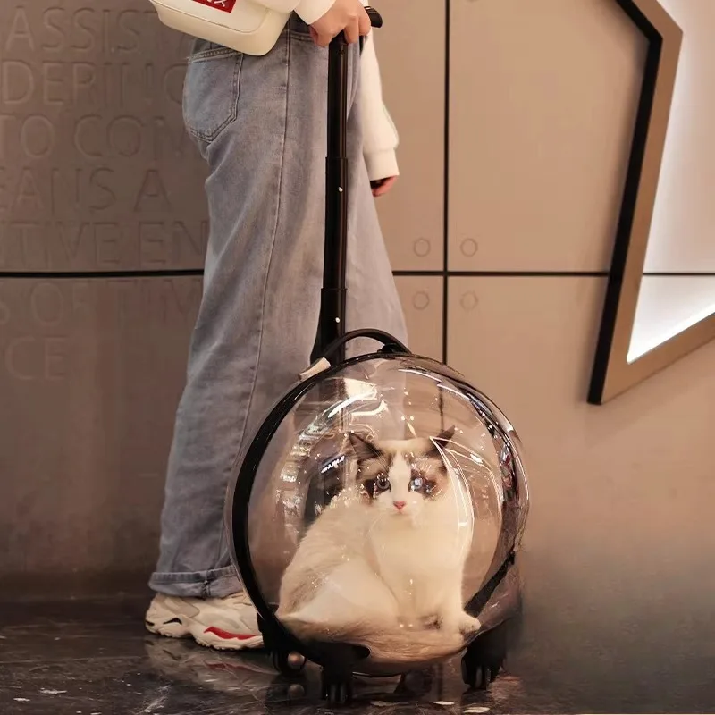 Cat bag out portable pet trolley case portable transparent space capsule cat travel trolley dog suitcase