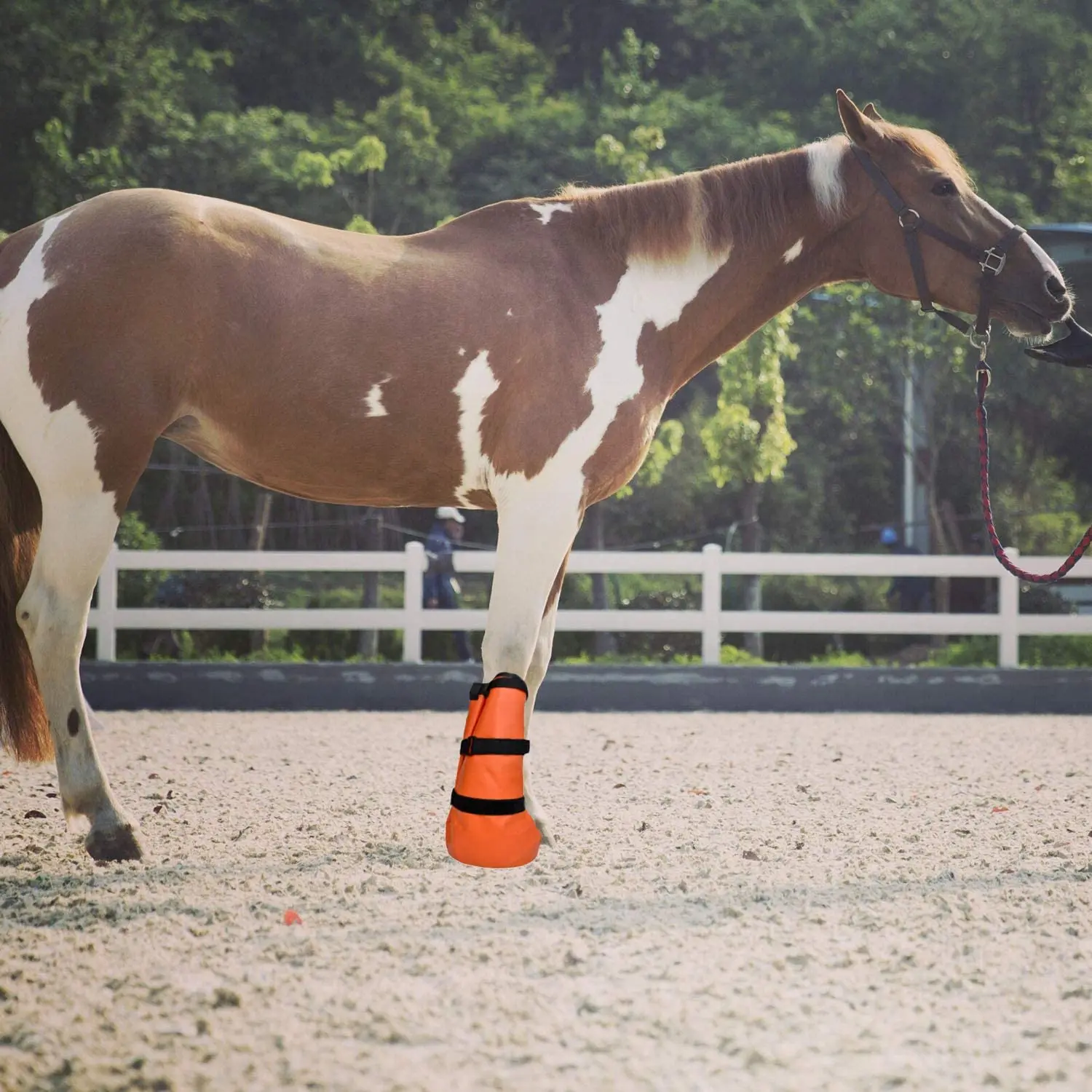 Bottes de cheval en néoprène imperméable avec logo personnalisé, protection des jambes de cheval, tendon noir, haute qualité