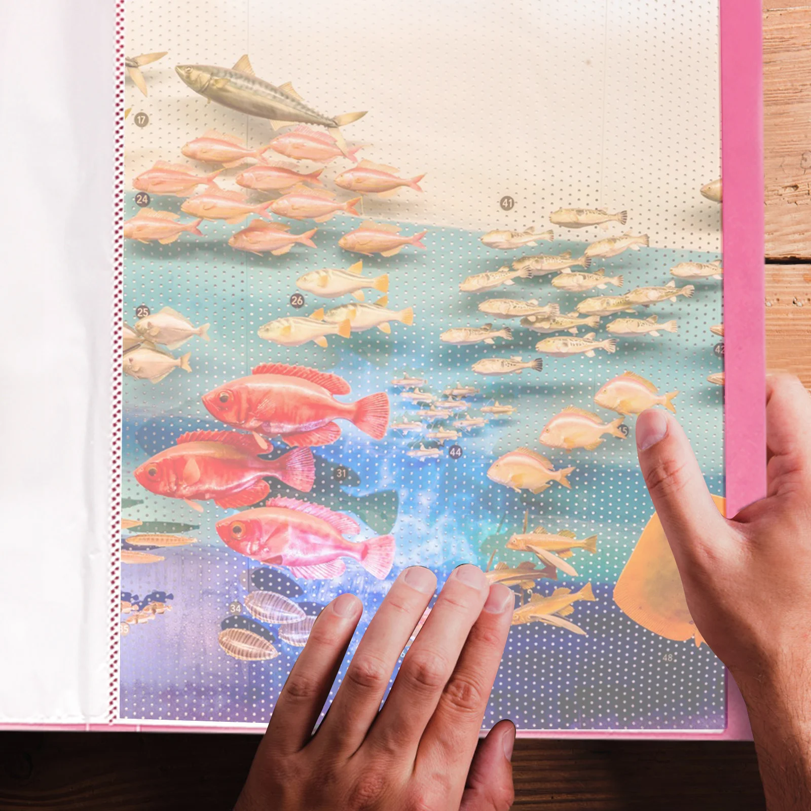 

2pcs Diamond Art Storage Book Portable Plastic Painting Organizer With Pockets Lightweight Splash-Proof For School Office Art