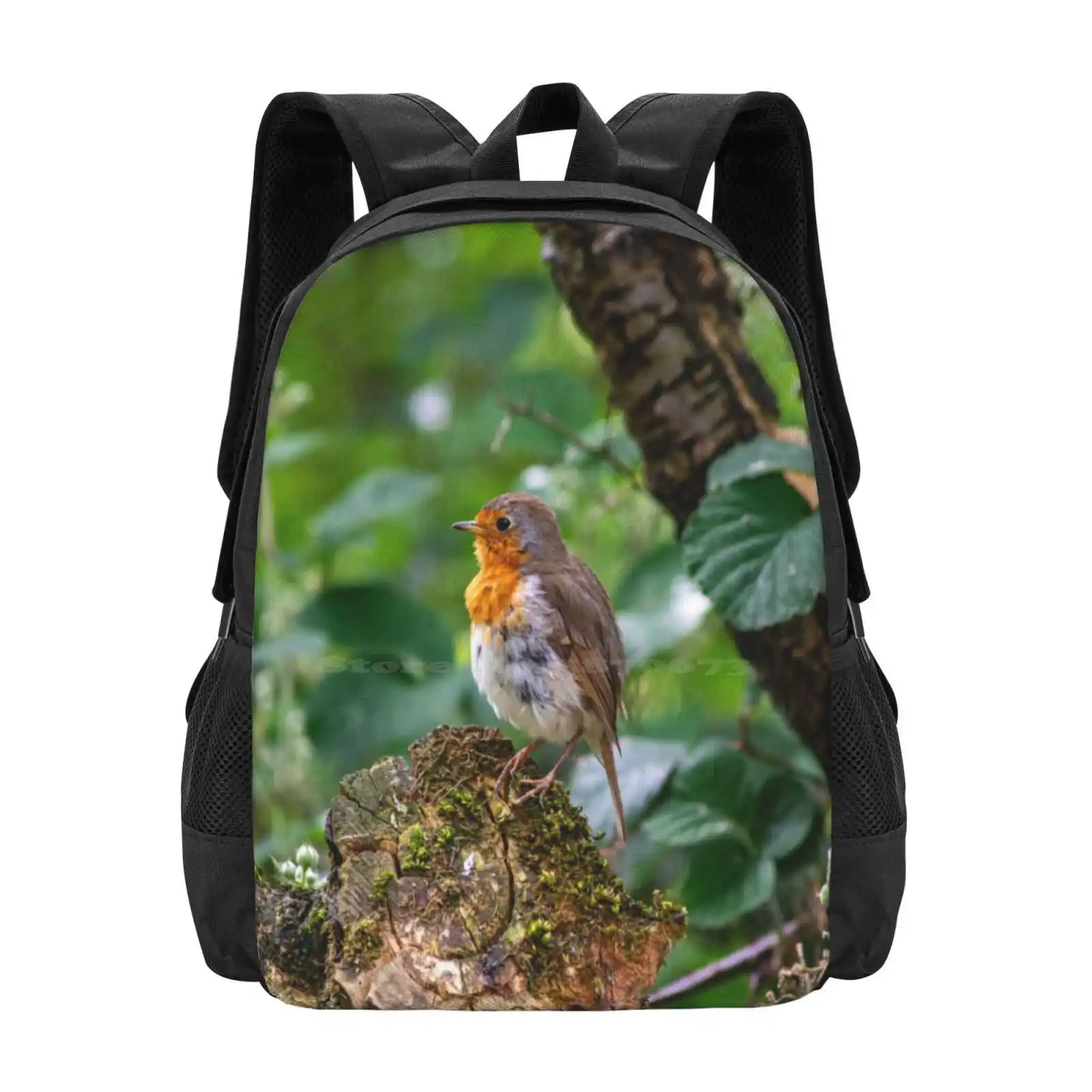 Robin Redbreast Hot Sale Schoolbag Backpack Fashion Bags Robin Nature Wildlife Birding Spring Colour Color Yorkshire