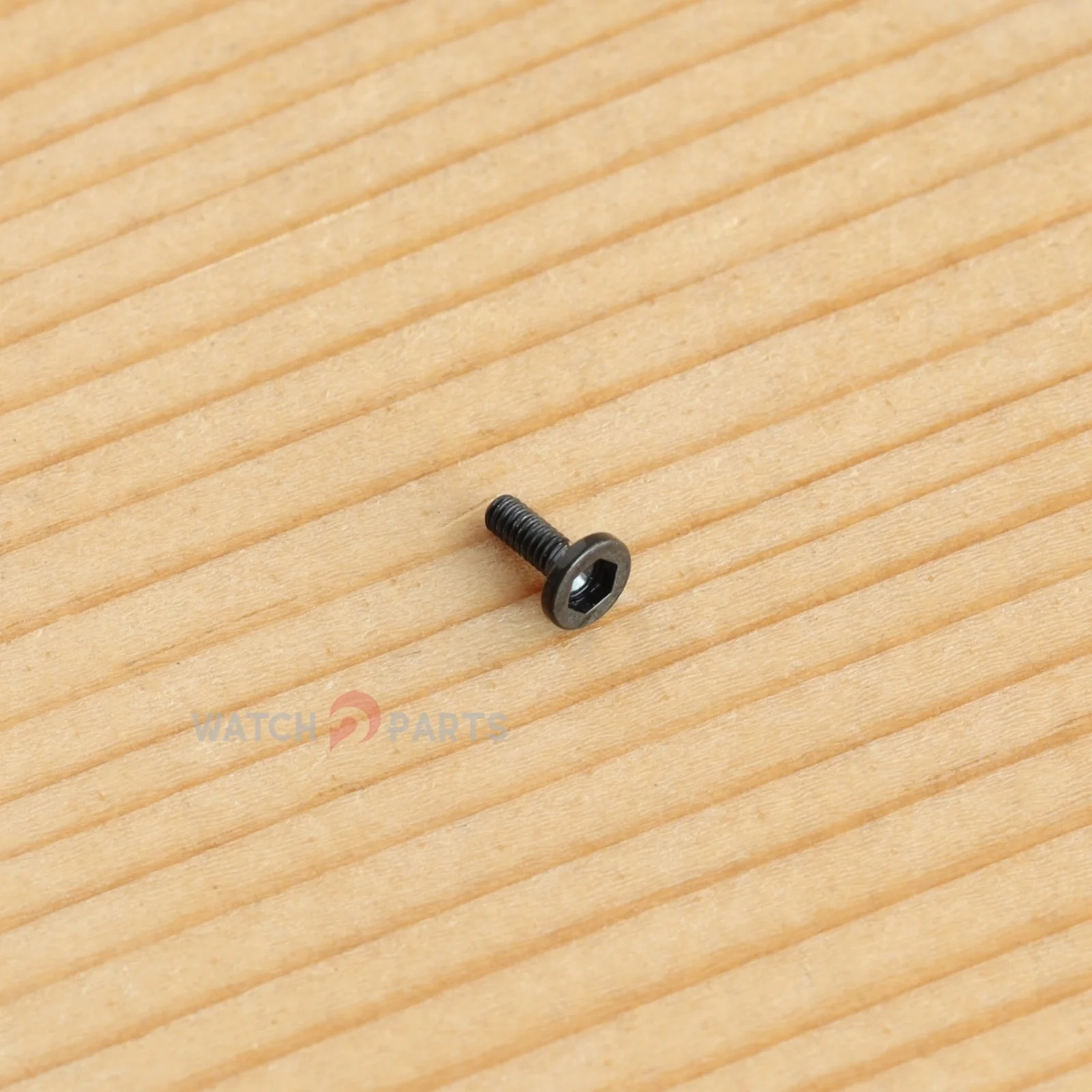 Case Back Screw for Chopard 168537 Mille Miglia Superfast 45mm Watch