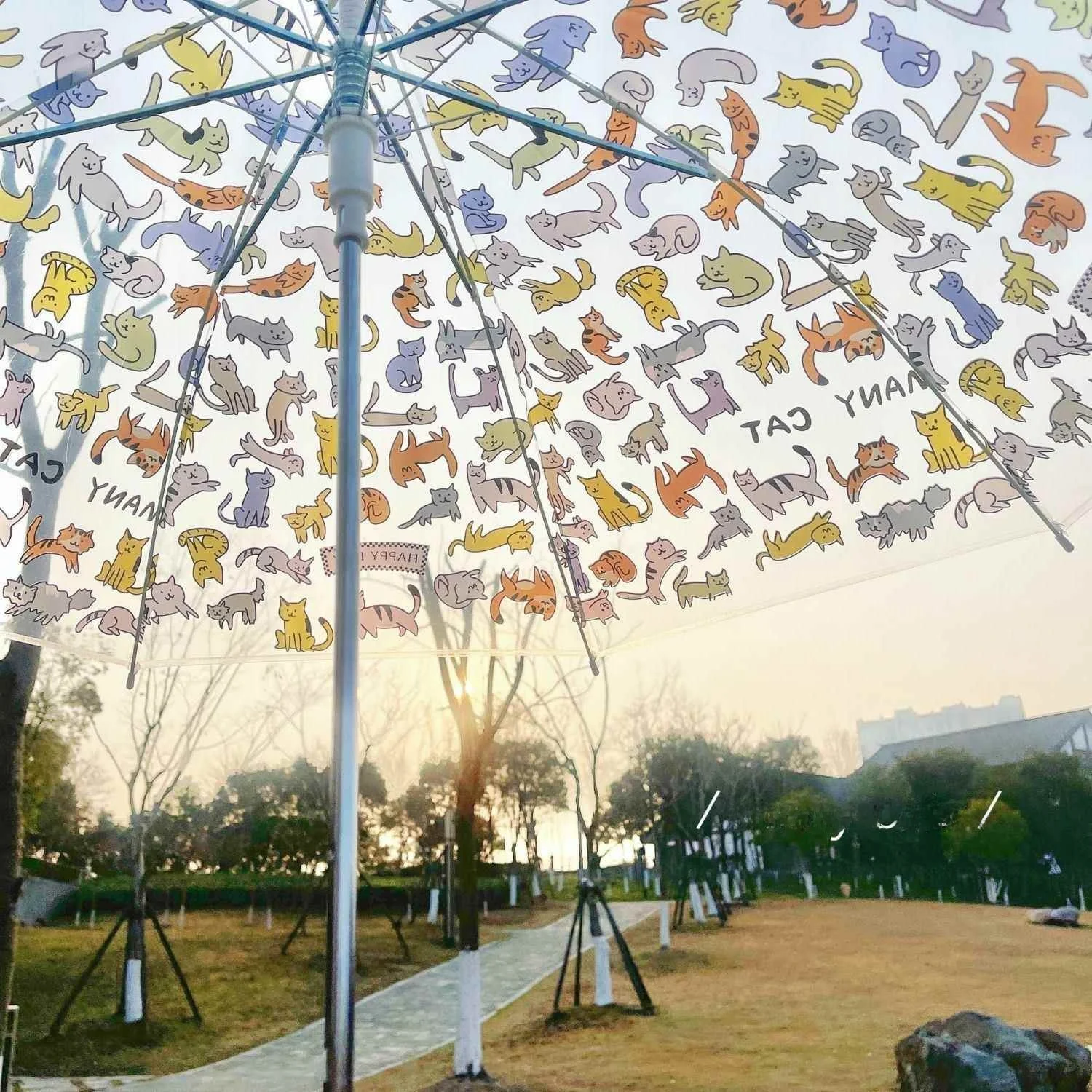 

Transparent Long-Handled Umbrella Foldable Automatic And Dog Cartoon Design High Aesthetic Value for Women Japanese Style