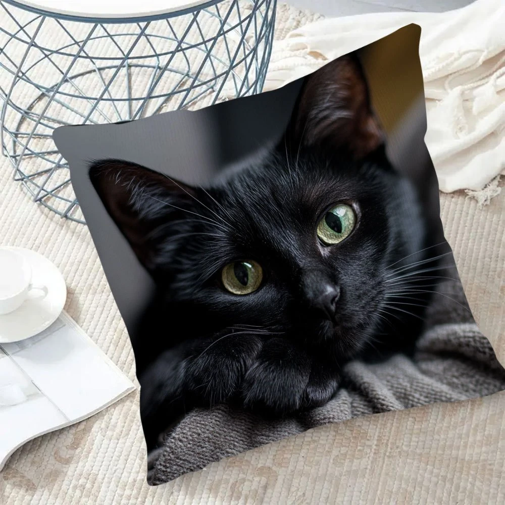 Realistic Black Cat Pillow Cover 2D Lifelike Kitten Print Soft Cushion Case for Sofa Couch Pet Lover Home Decor Cat Mom Gift