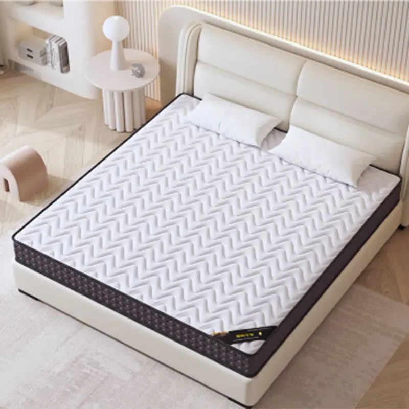 Students Modern Twin Mattress Official China Queen Bedroom Mattress Sleep Living Room Materasso Matrimoniale Bedroom Furniture