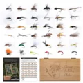 144pcs